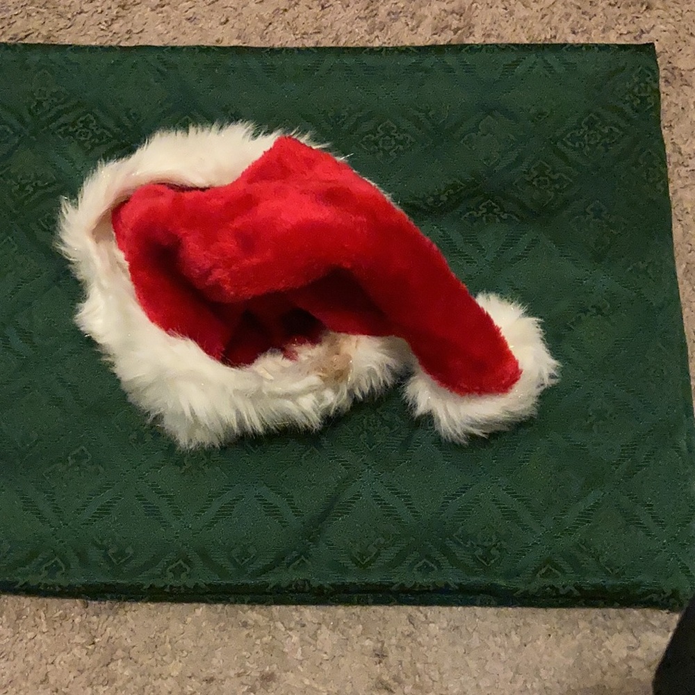 Christmas Stocking Cap - Picture 2 of 3